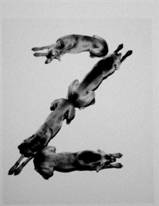 Image description is not available for 2001.084